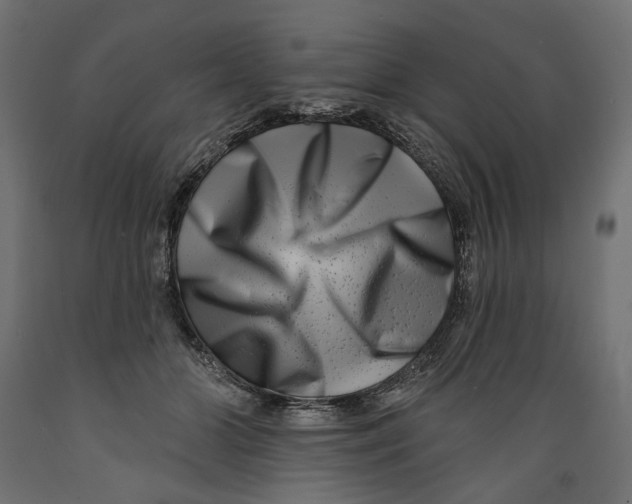 X0000088880510200707061413
