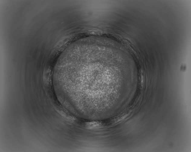 X0000088880511200707061413