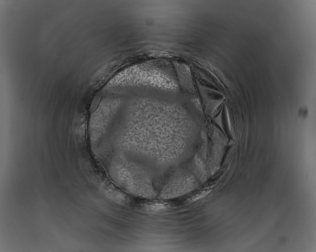 X0000088880513200707061413