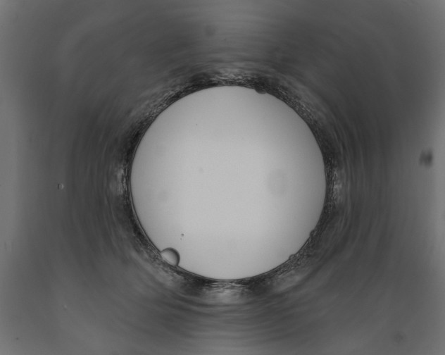 X0000088880514200707061413