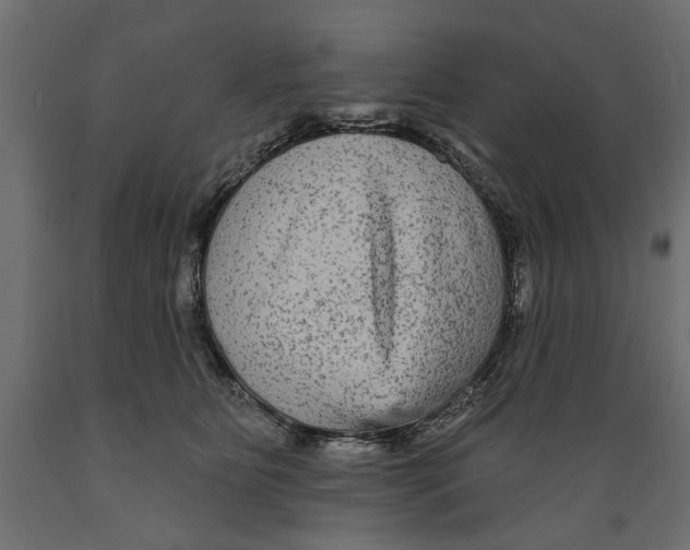 X0000088880515200707061413