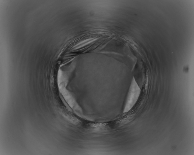 X0000088880516200707061413