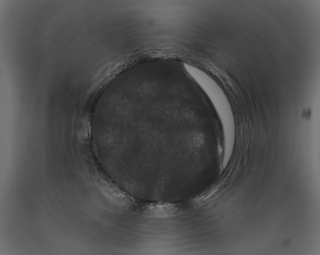 X0000088880517200707061413