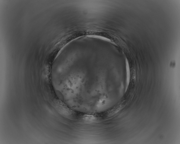 X0000088880519200707061413