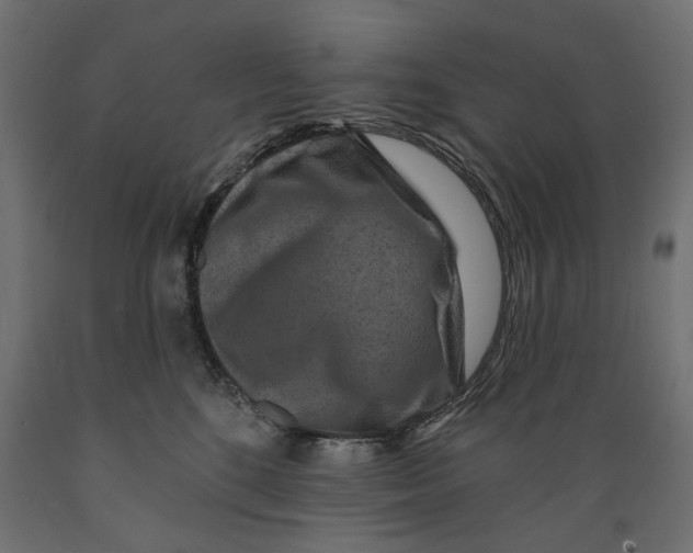 X0000088880520200707061413