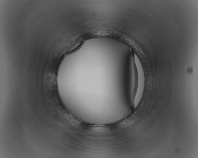 X0000088880521200707061413