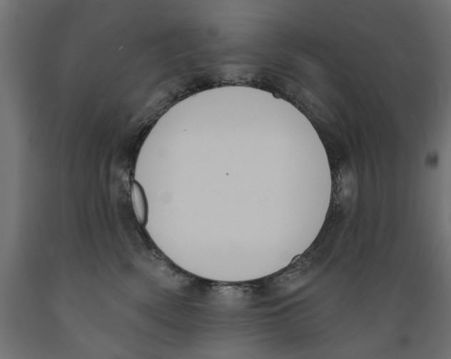 X0000088880522200707061413