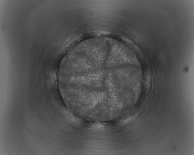 X0000088880523200707061413