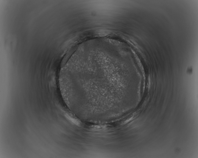 X0000088880524200707061413