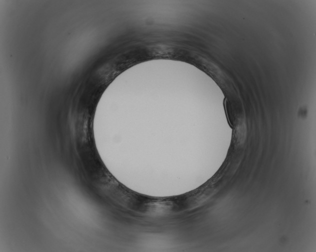 X0000088880525200707061413