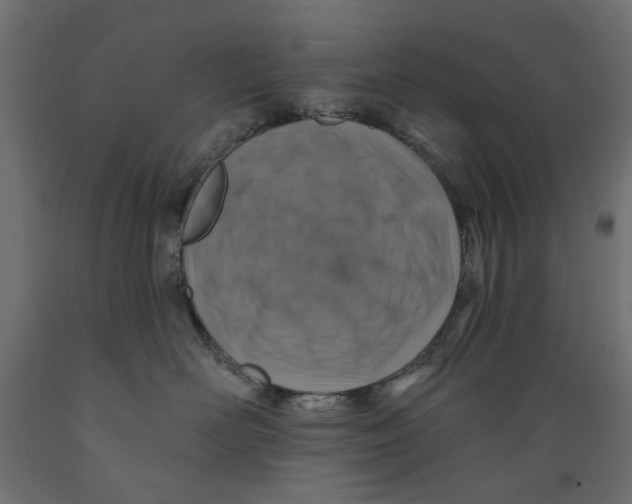X0000088880526200707061413