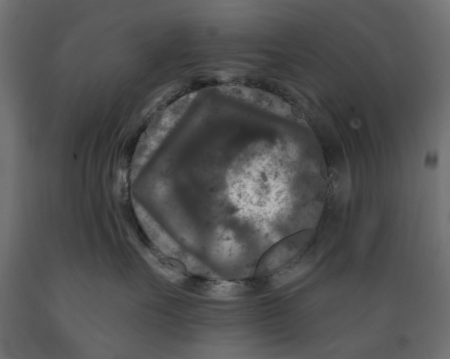X0000088880527200707061413