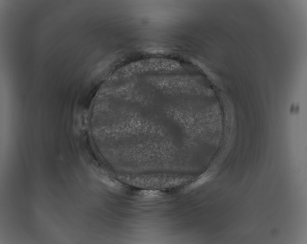 X0000088880528200707061413