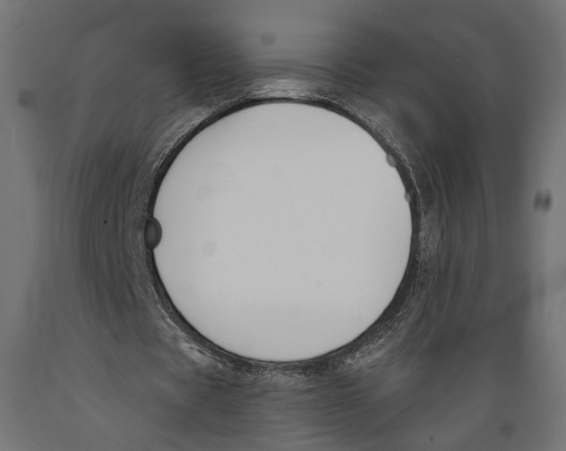 X0000088880529200707061412