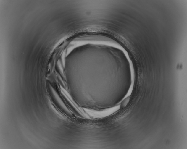 X0000088880530200707061412