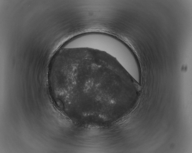 X0000088880531200707061412