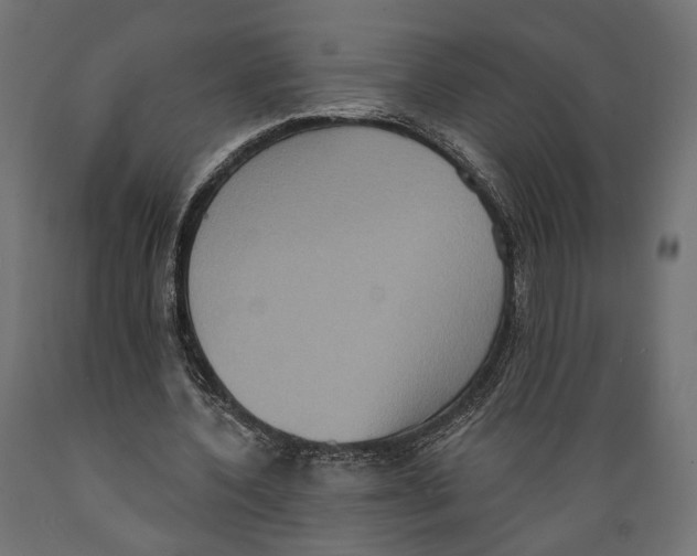 X0000088880532200707061412