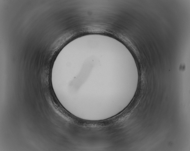 X0000088880533200707061412