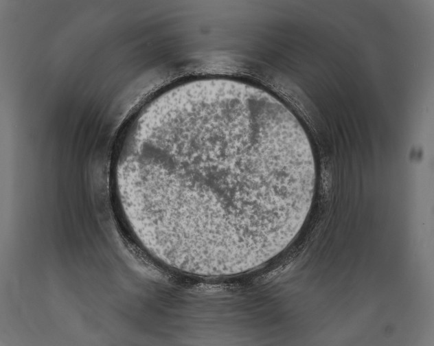X0000088880534200707061412