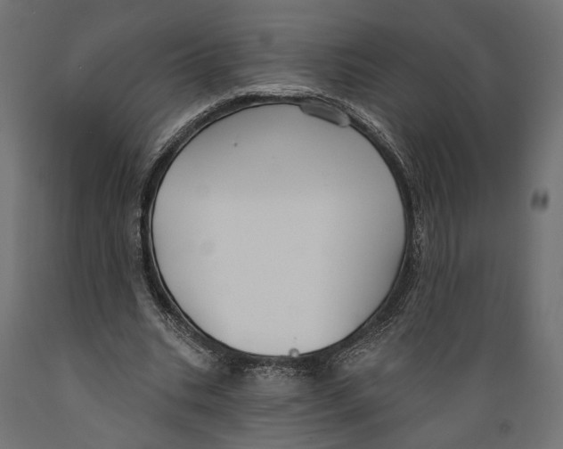 X0000088880535200707061412