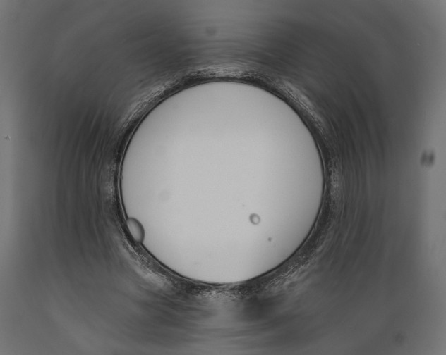 X0000088880537200707061412