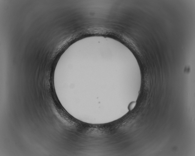 X0000088880538200707061412