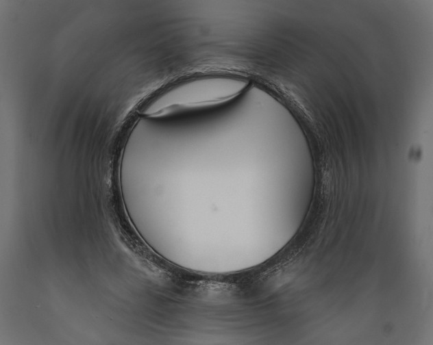 X0000088880539200707061412