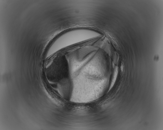 X0000088880540200707061412