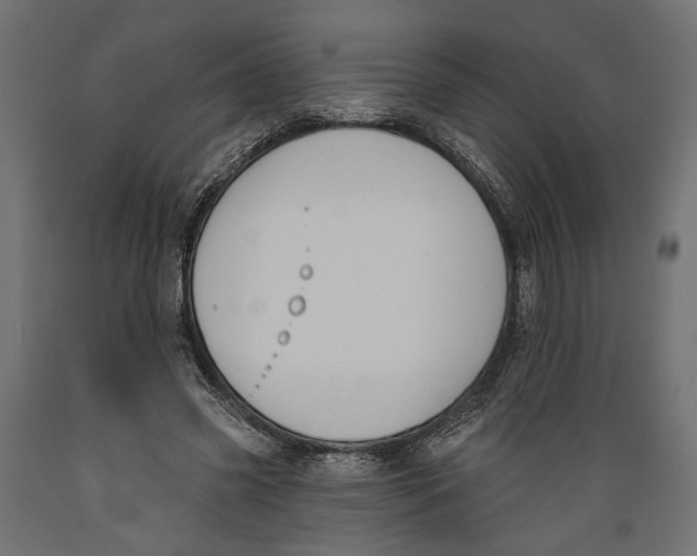 X0000088880541200707061412