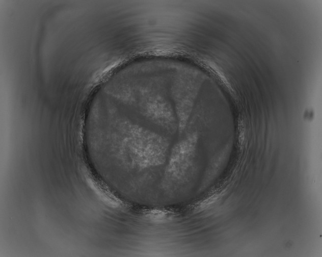 X0000088880542200707061412