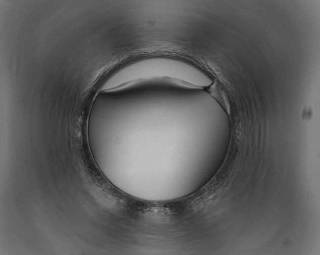 X0000088880543200707061412