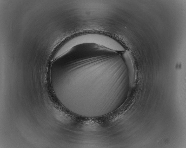 X0000088880544200707061412