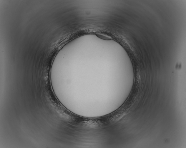 X0000088880545200707061412
