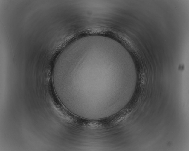 X0000088880546200707061412