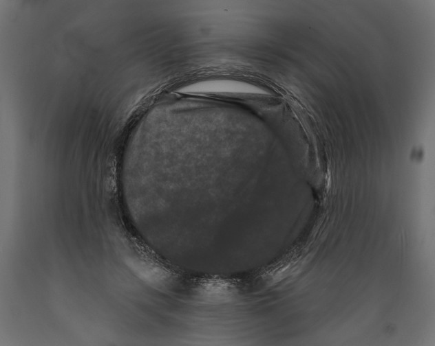 X0000088880547200707061412