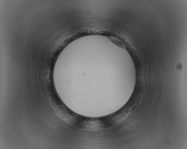 X0000088880548200707061412