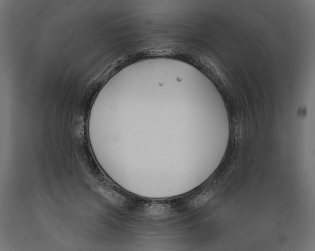 X0000088880549200707061412