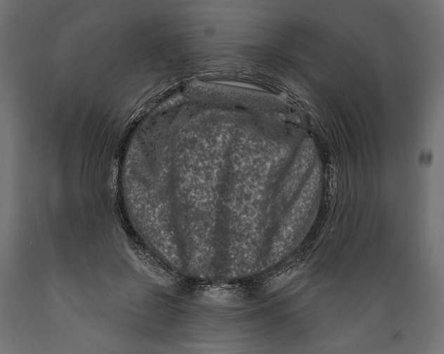 X0000088880550200707061412