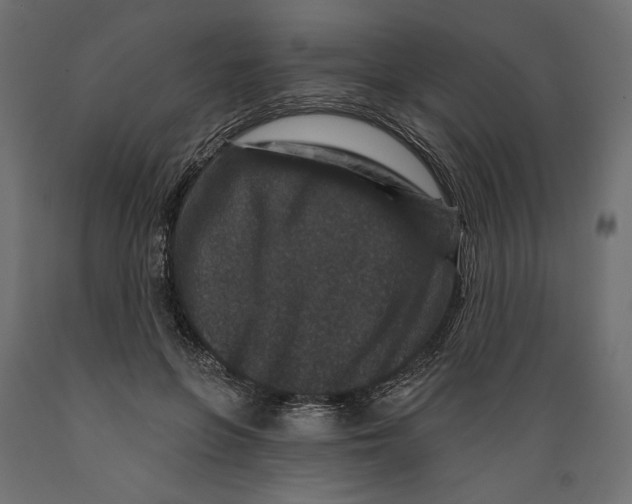 X0000088880551200707061412