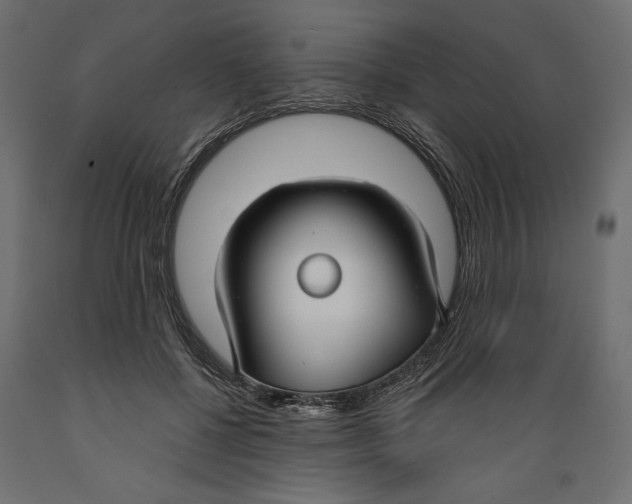 X0000088880552200707061412
