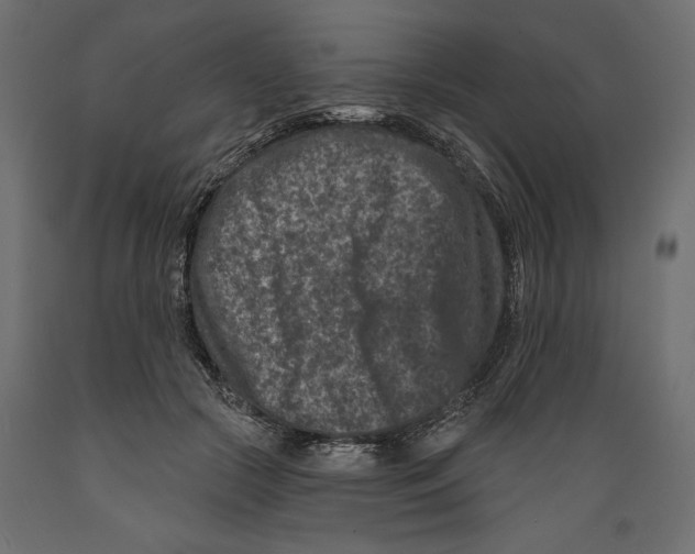 X0000088880553200707061412