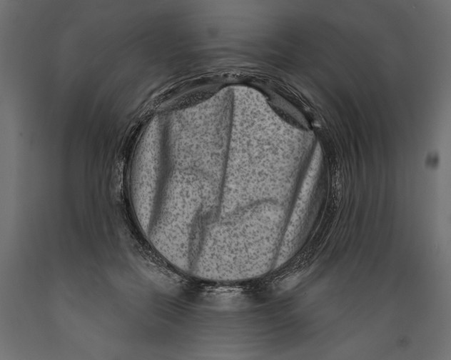 X0000088880554200707061412
