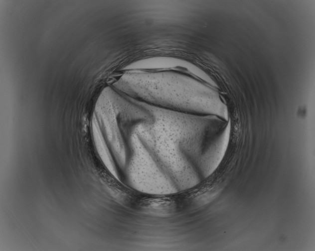 X0000088880555200707061412
