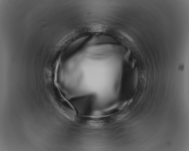 X0000088880556200707061412