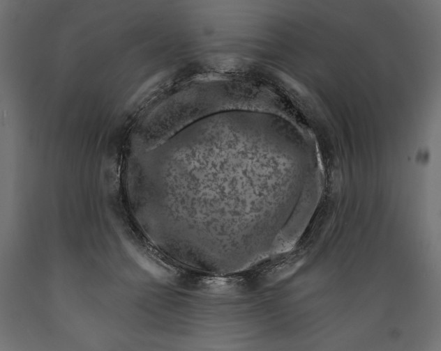 X0000088880558200707061412