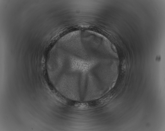 X0000088880559200707061412