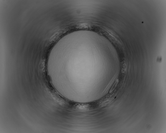 X0000088880560200707061412