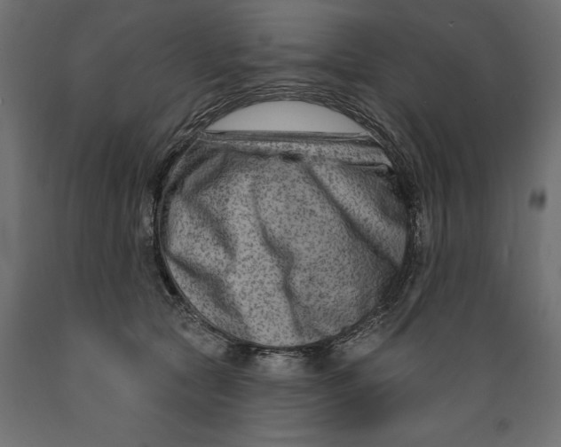 X0000088880561200707061412