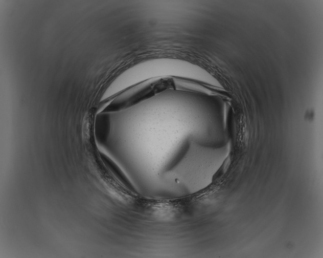 X0000088880562200707061413
