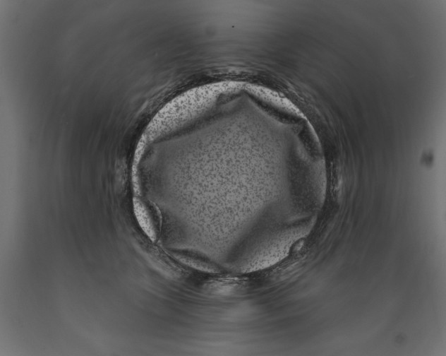 X0000088880563200707061413